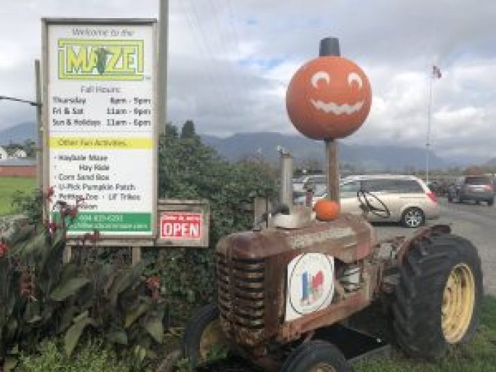 Chilliwack Corn Maze & Pumpkin Farm | Mr. Locksmith Blog